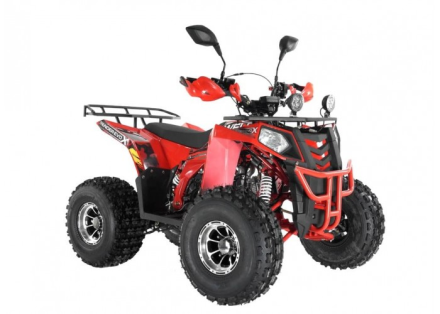 Квадроцикл WELS Thunder EVO LUX X 125, фото 5