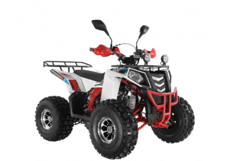 Квадроцикл WELS Thunder EVO LUX X 125, фото 3