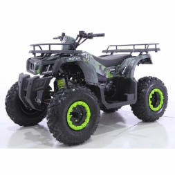 Квадроцикл MOTAX ATV Grizlik T200 Lux, фото 13