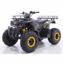 Квадроцикл MOTAX ATV Grizlik T200 Lux
