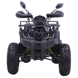 Квадроцикл YACOTA WARRIOR, фото 3 Квадроцикл YACOTA WARRIOR, фото 3