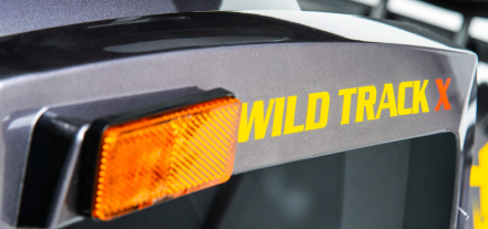 Квадроцикл MOTOLAND 200 Wild Track X Pro (2022), фото 8