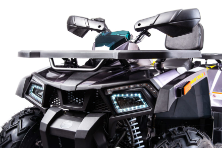 Квадроцикл MOTOLAND 200 Wild Track X Pro (2022), фото 4