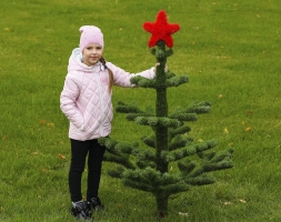 Топиари Ёлка со звездой - газон Eco