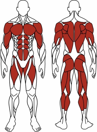 Наездник (зеленый) - Уличный тренажер - СТ 033-12.П , фото 6