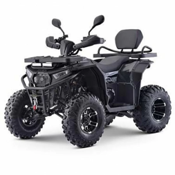 Квадроцикл MOTAX ATV Grizlik W200