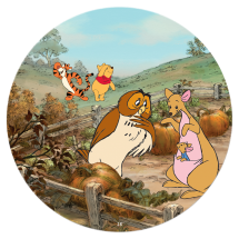 Винни идёт в гости