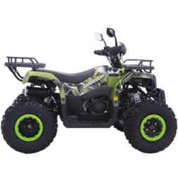 Квадроцикл YACOTA WARRIOR PRO, фото 2 Квадроцикл YACOTA WARRIOR PRO, фото 2