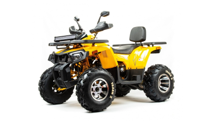 Квадроцикл BISON Track X PRO, фото 1