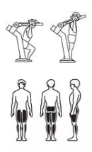 НВВ-009 Приседания с переменным весом