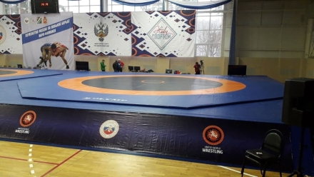 Ковёр борцовский 10х10х0,05 м, эквивалентно пл.140 кг/м3 (НПЭ, трёхцветный) СТП-88, фото 4