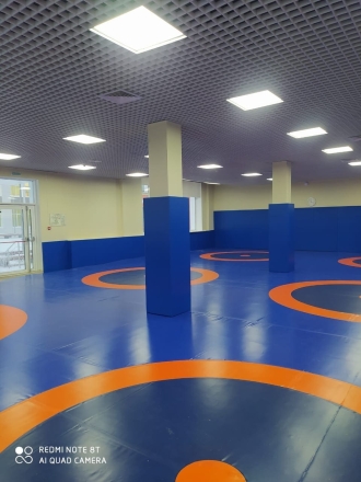 Ковёр борцовский 10х10х0,05 м, эквивалентно пл.140 кг/м3 (НПЭ, трёхцветный) СТП-88, фото 2