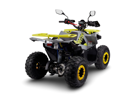 Квадроцикл AVANTIS Ray 8 Lux, фото 4