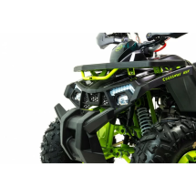 Квадроцикл подростковый MotoLand WILD X 125