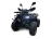Квадроцикл MOTAX ATV Grizlik Super Lux 125cc