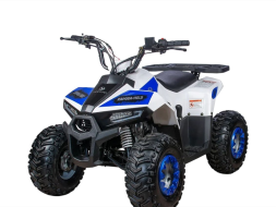 Квадроцикл YACOTA Raposa Pro Sport Квадроцикл YACOTA Raposa Pro Sport