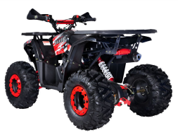 Квадроцикл GLADIATOR H125 Lux, фото 3