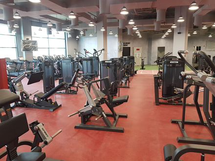 Приведение/отведение бедра SPIRIT SP-3516, фото 3