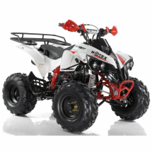 Квадроцикл MOTAX ATV Raptor Super LUX 125 сс
