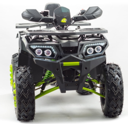 Квадроцикл BISON Track LUX, фото 2