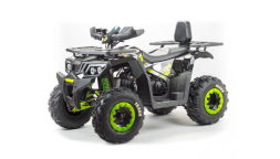 Квадроцикл BISON Track LUX, фото 1