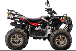 Квадроцикл YACOTA Sela Lux 150 LD, фото 3 Квадроцикл YACOTA Sela Lux 150 LD, фото 3