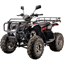 Квадроцикл YACOTA Sela Lux 150 LD, фото 1 Квадроцикл YACOTA Sela Lux 150 LD, фото 1