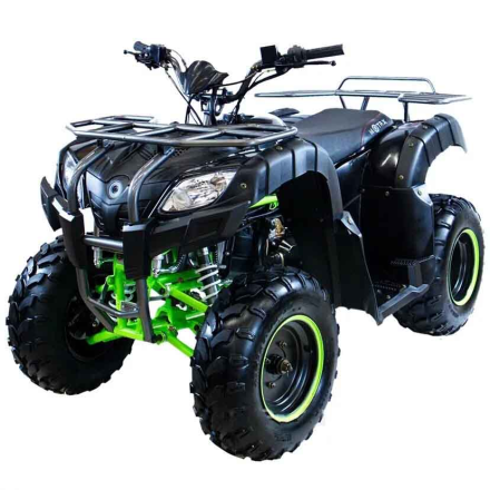 Квадроцикл MOTAX ATV Grizlik 200 Lux, фото 1