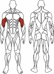 Бицепс сидя (серый) - Уличный тренажер - СТ 034-13.И1, фото 6