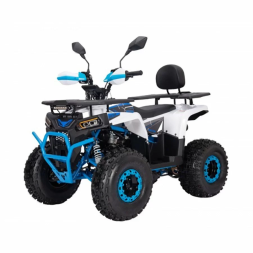 Квадроцикл YACOTA VEKTOR 125 LUX, фото 1 Квадроцикл YACOTA VEKTOR 125 LUX, фото 1