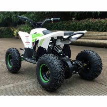 Квадроцикл MOTAX GEKKON 1300W