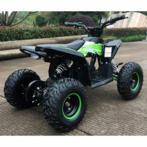 Квадроцикл MOTAX GEKKON 1300W