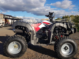 Квадроцикл YACOTA Sela 150, фото 5 Квадроцикл YACOTA Sela 150, фото 5