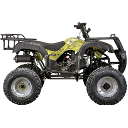 Квадроцикл YACOTA Sela 150, фото 3 Квадроцикл YACOTA Sela 150, фото 3