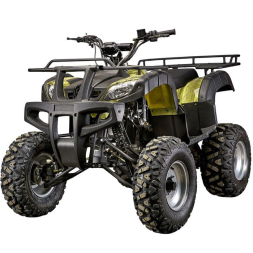 Квадроцикл YACOTA Sela 150, фото 1 Квадроцикл YACOTA Sela 150, фото 1