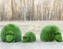 Топиари композиция Ёжики, 3 шт - газон Eco