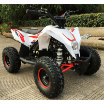 Квадроцикл MOTAX GEKKON 90cc