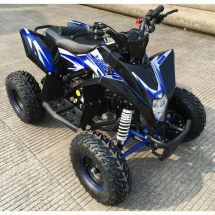 Квадроцикл MOTAX GEKKON 90cc