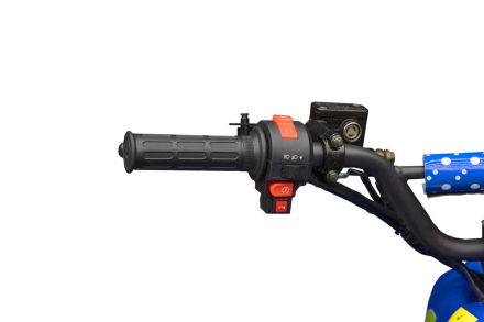 Квадроцикл TIGER 150 Universal RX, фото 12