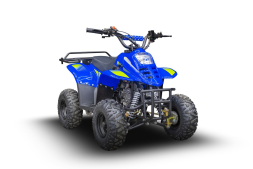 Квадроцикл TIGER 150 Universal RX, фото 2