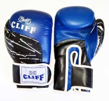 Перчатки бокс PRO STAR (DX) 10 oz синие