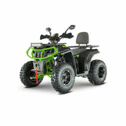 Квадроцикл YACOTA VIKING 200 PRO, фото 11 Квадроцикл YACOTA VIKING 200 PRO, фото 11