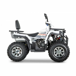 Квадроцикл YACOTA VIKING 200 PRO, фото 4 Квадроцикл YACOTA VIKING 200 PRO, фото 4