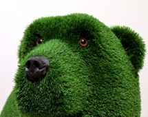 Топиари медведь Шанти - газон Eco