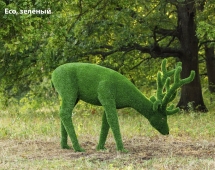 Топиари олень, пасется - газон Eco Green