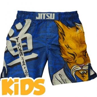 ММА Шорты Jitsu jitshorts019, фото 1