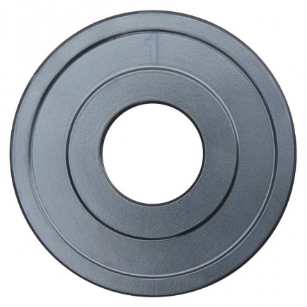 Диск ProfiGym хромированный d 31 мм 1 кг, фото 1