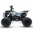 Квадроцикл MOTAX Grizlik Midi PS BW