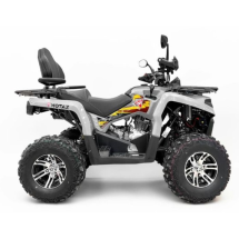 Квадроцикл GRIZLIK 200 ULTRA BIG