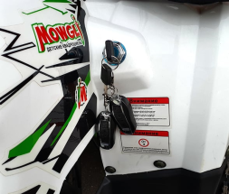 Квадроцикл MOWGLI Hardy 8+, фото 8